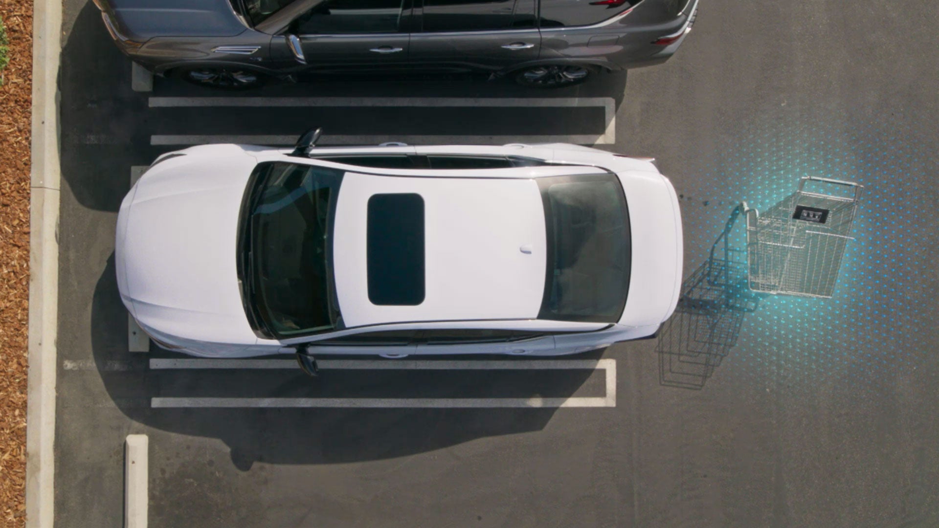 2026 Nissan Altima | Rusty Wallace Nissan in Knoxville, TN